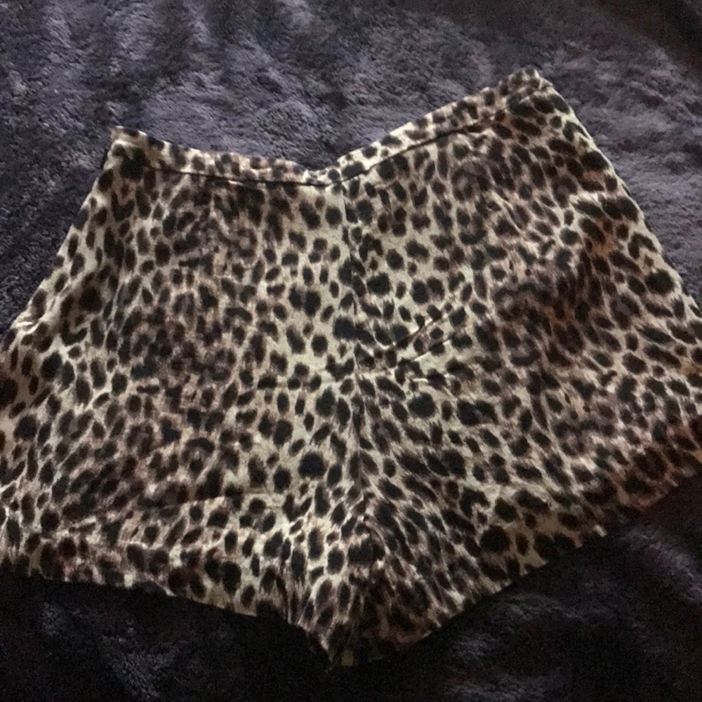 Leopard print Gianni Bini shorts NWOT - Picture 4 of 5